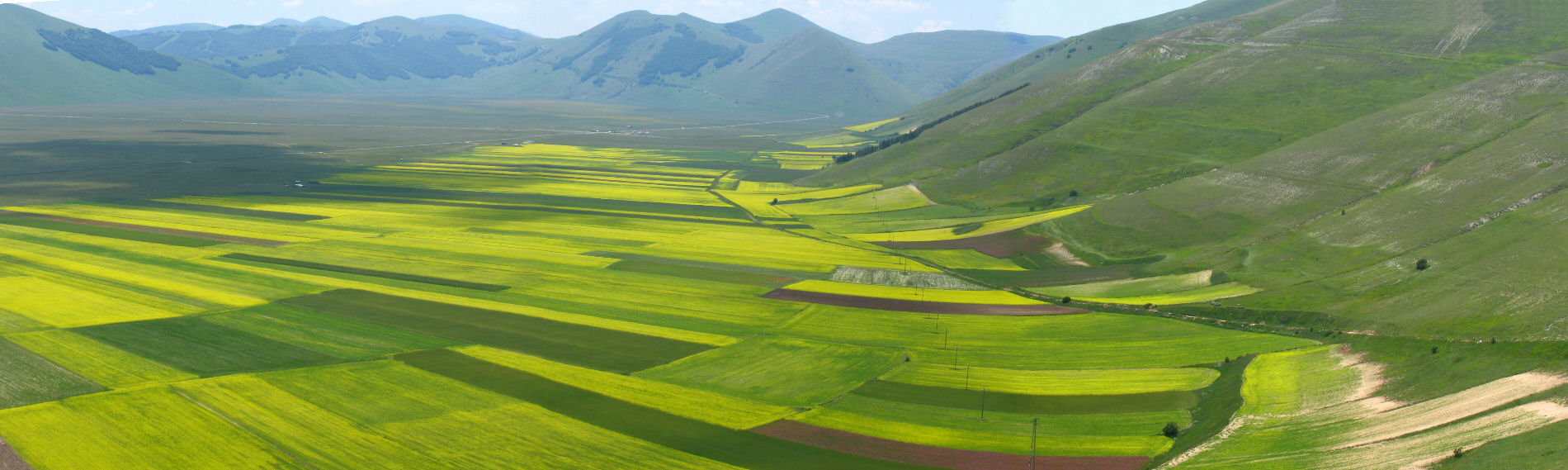 Panorama dei Piani di Castelluccio, nel Parco nazionale dei Monti Sibillini